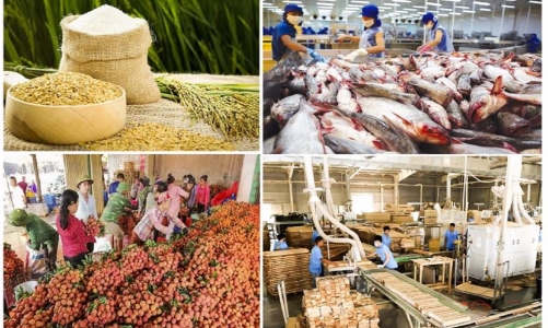 Xuất khẩu nông lâm thủy sản vượt trên 44 tỷ USD, nhiều nhóm hàng tăng trưởng cao