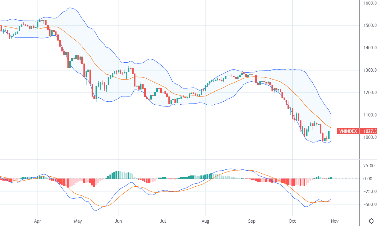 VN-Index đang có cơ hội tạo hai đáy phục hồi.