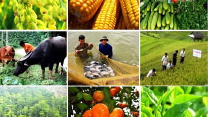 Agriculture sector sees solid October