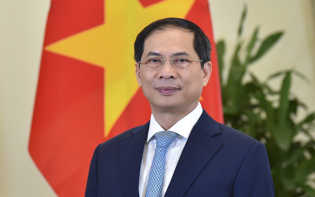 Bộ trưởng Ngoại giao Bùi Thanh Sơn - Ảnh: TTXVN