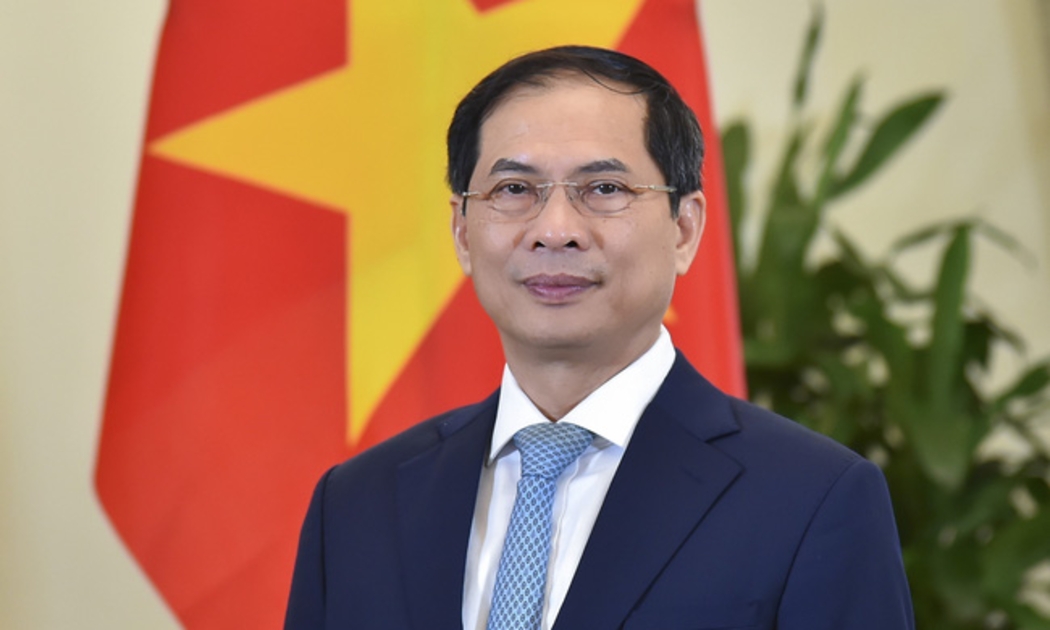 Bộ trưởng Ngoại giao Bùi Thanh Sơn - Ảnh: TTXVN