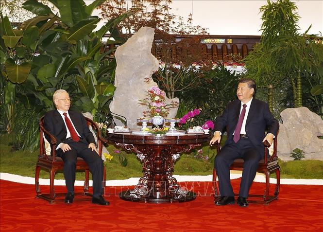 Tổng B&iacute; thư Nguyễn Ph&uacute; Trọng v&agrave; Tổng B&iacute; thư, Chủ tịch Trung Quốc Tập Cận B&igrave;nh thưởng thức tr&agrave; - Ảnh: TTXVN