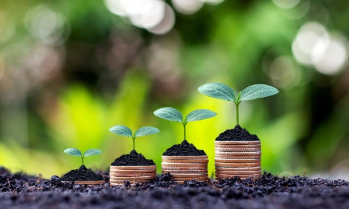 Chính phủ là chìa khóa thúc đẩy nền kinh tế xanh cho hệ sinh thái fintech châu Á