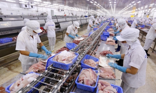 30% doanh nghiệp đánh giá năng lực quản trị tốt sẽ giúp doanh nghiệp vượt khủng hoảng