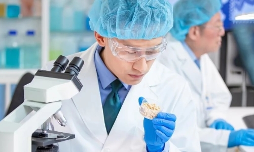 Hệ sinh thái khởi nghiệp Kyoto mở đường đổi mới cho công nghệ sâu ở Nhật Bản 