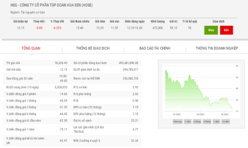 Giá giảm hơn 70%, thêm một lãnh báo bán ra cổ phiếu HSG