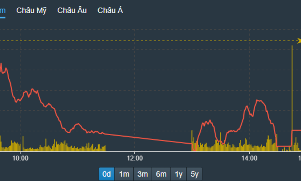 VN-Index được một vài cổ phiếu lớn nỗ lực hãm đà rơi trong phiên chiều.