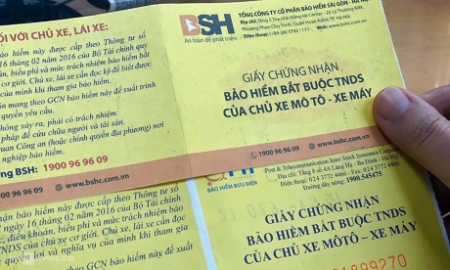 Ảnh mih hoạ.