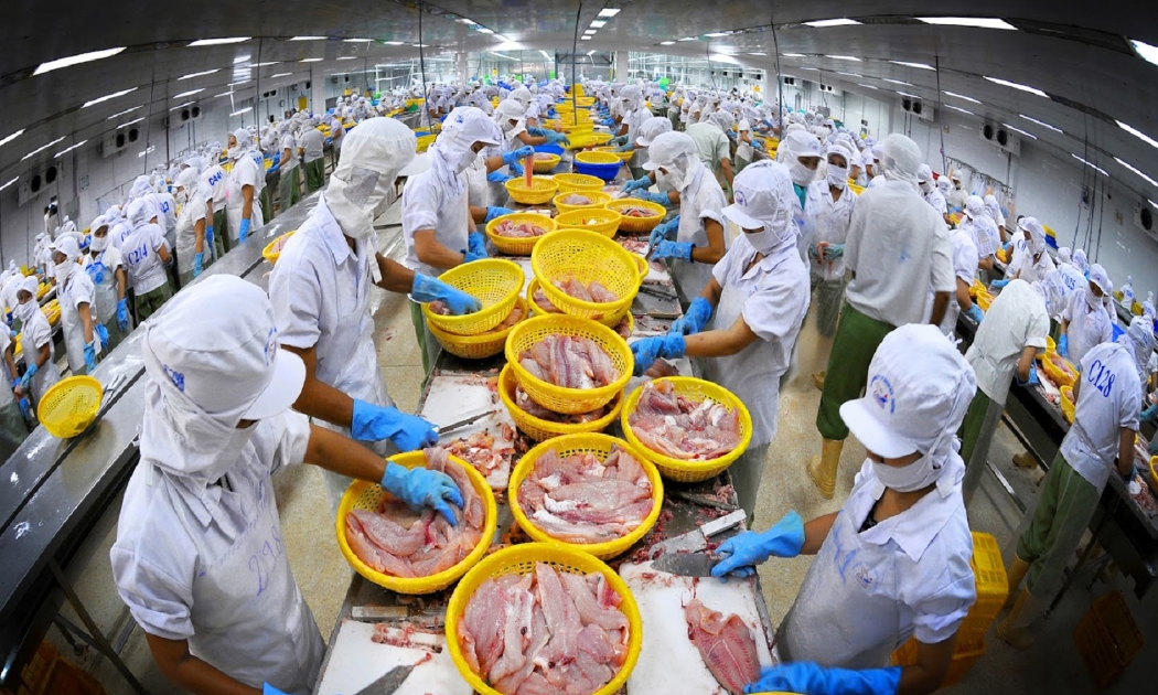 Đến hết tháng 10/2022, xuất khẩu thuỷ sản đạt  9,5 tỷ USD, tăng 34% so với cùng kỳ năm 2021.