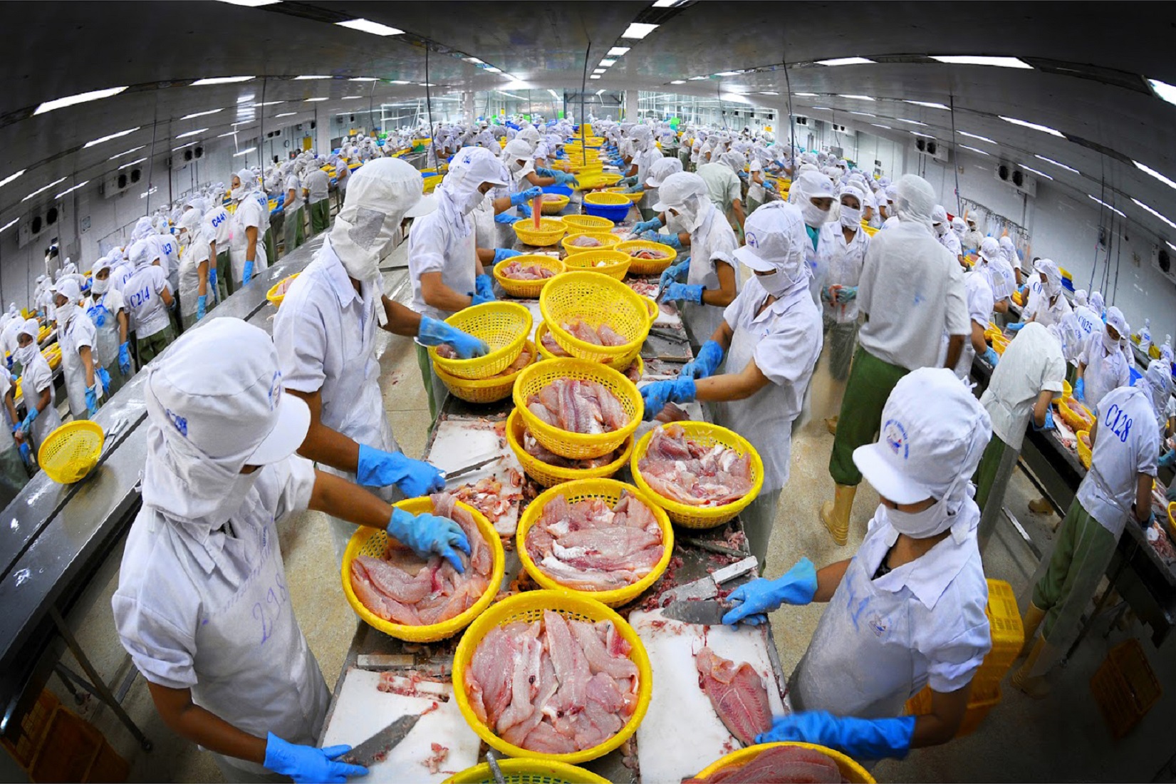 Đến hết tháng 10/2022, xuất khẩu thuỷ sản đạt  9,5 tỷ USD, tăng 34% so với cùng kỳ năm 2021.