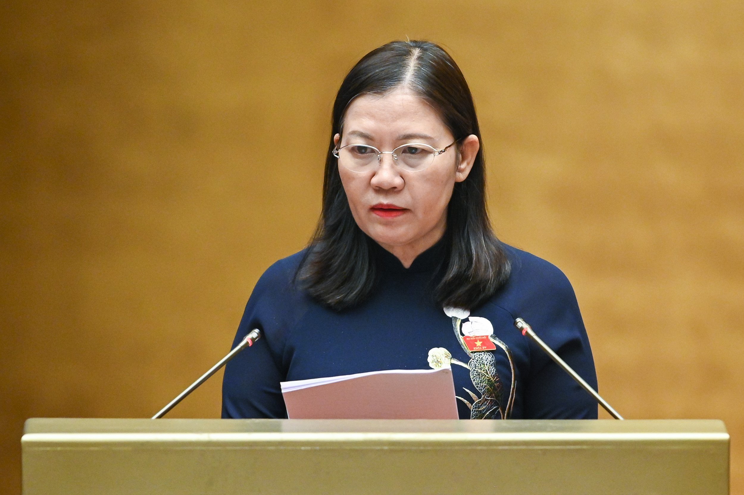 Chủ nhiệm Ủy ban Tư ph&aacute;p của Quốc hội - Ảnh: Quochoi.vn