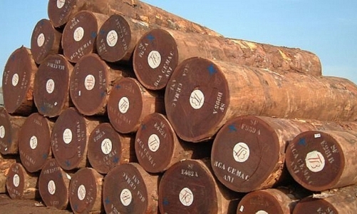Mỗi năm chi 500 triệu USD nhập khẩu gỗ nguyên liệu từ châu Phi