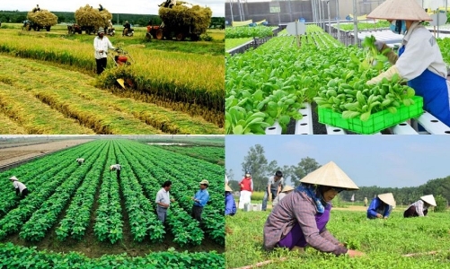 Khắc phục những quy định chồng chéo đang 