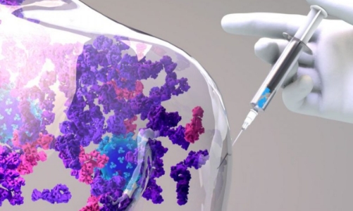 Những liệu pháp miễn dịch điều trị ung thư gây chú ý