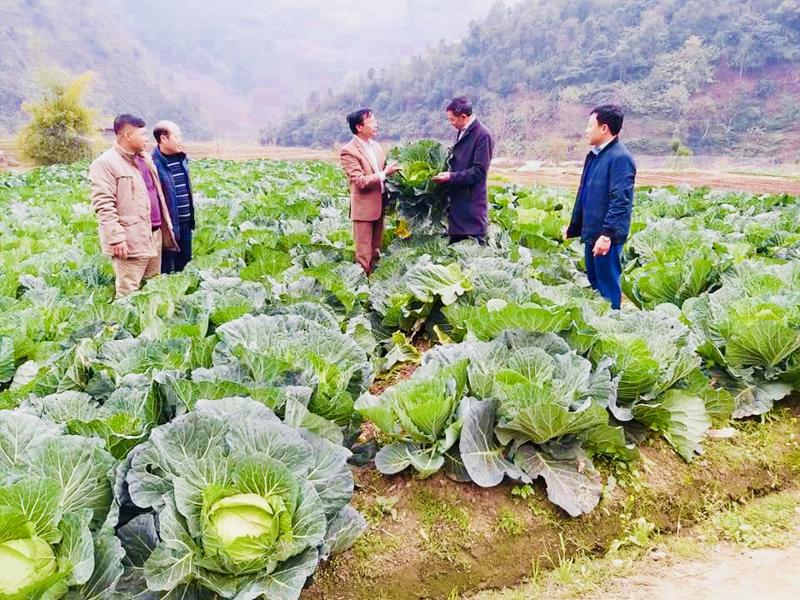 Cần ưu tiên cho các tổ chức kinh tế tập thể trong lĩnh vực nông nghiệp.