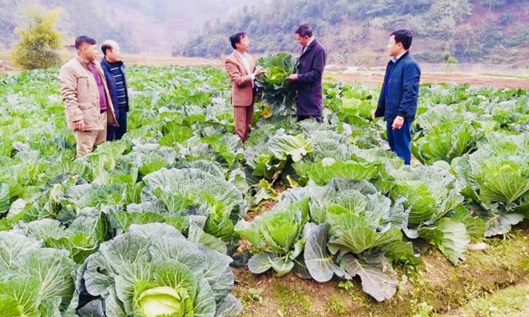 Cần ưu tiên cho các tổ chức kinh tế tập thể trong lĩnh vực nông nghiệp.