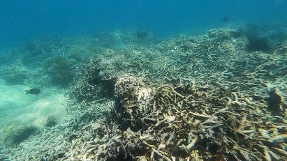 Nha Trang Bay to undergo restoration