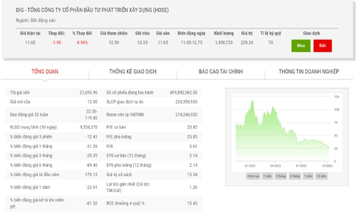 Công ty Chứng khoán bán giải chấp hơn 9,4 triệu cổ phiếu DIG
