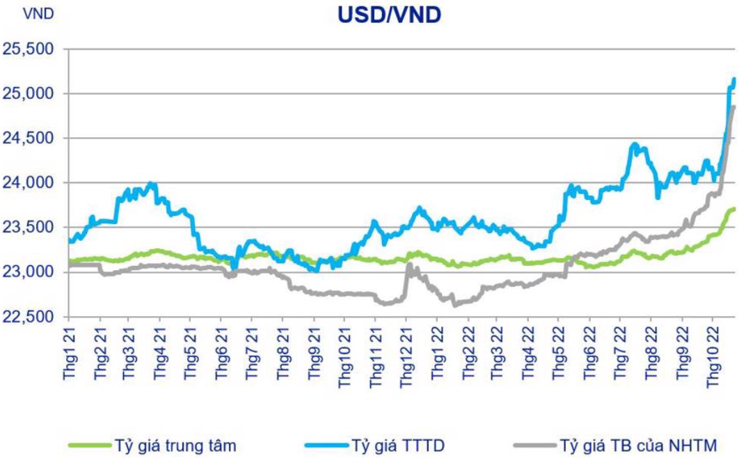 Tỷ gi&aacute; biến động khiến nhiều doanh nghiệp nhập khẩu nguy&ecirc;n liệu sản xuất đầu v&agrave;o lo lắng.
