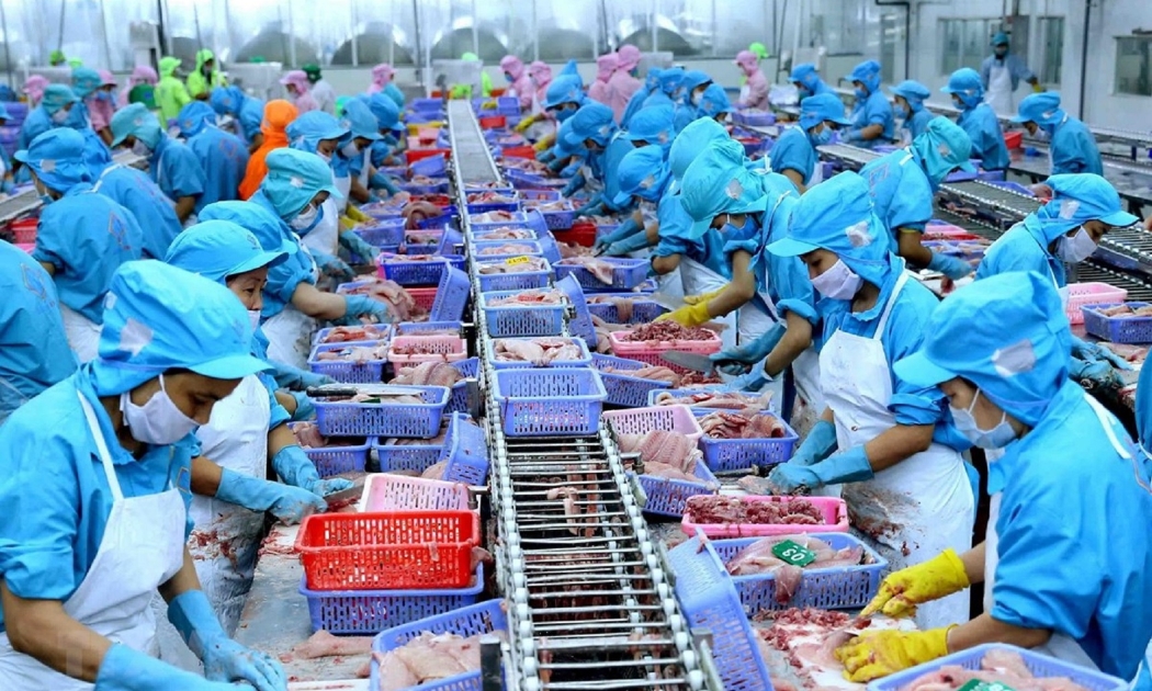 Dự kiến cả năm 2022, xuất khẩu thủy sản sẽ thiết lập mốc kỷ lục 11 tỷ USD.