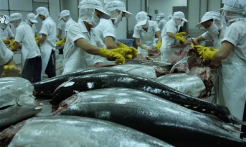 30 doanh nghiệp Nhật Bản tìm kiếm cơ hội nhập khẩu nông thủy sản Việt Nam