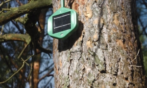 Công ty khởi nghiệp Dryad của Đức đã thiết kế một cảm biến giá rẻ có thể giảm đáng kể thời gian phát hiện cháy rừng