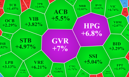 Thị trường “vỡ òa”, VN-Index hồi 58 điểm từ đáy, cả trăm mã thoát giá sàn