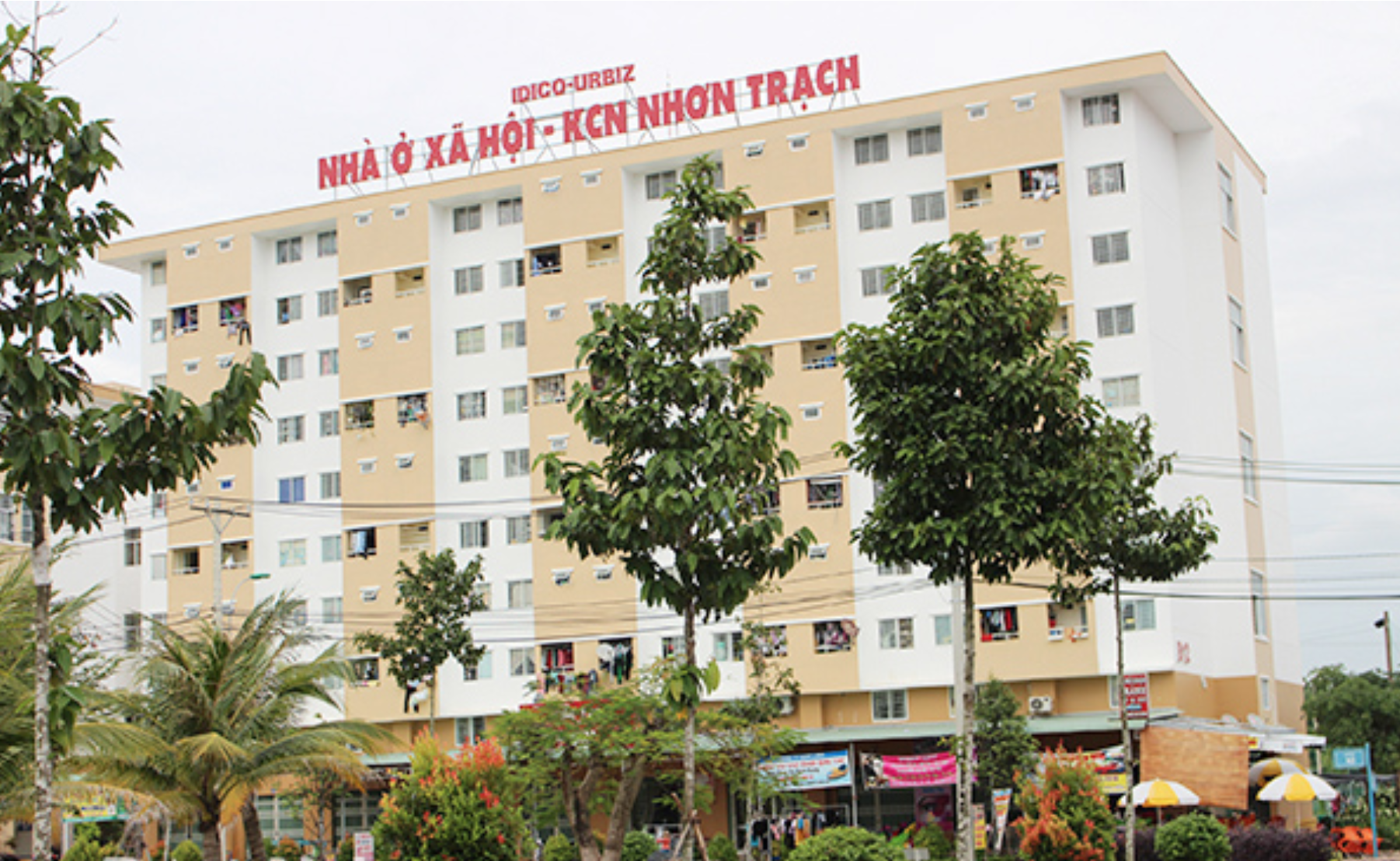 Ảnh minh hoạ.