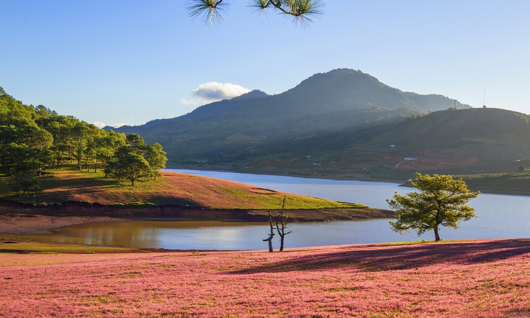 Khu du lịch hồ Suối Vàng Đà Lạt được nhiều người lựa chọn trong các dịp nghỉ lễ