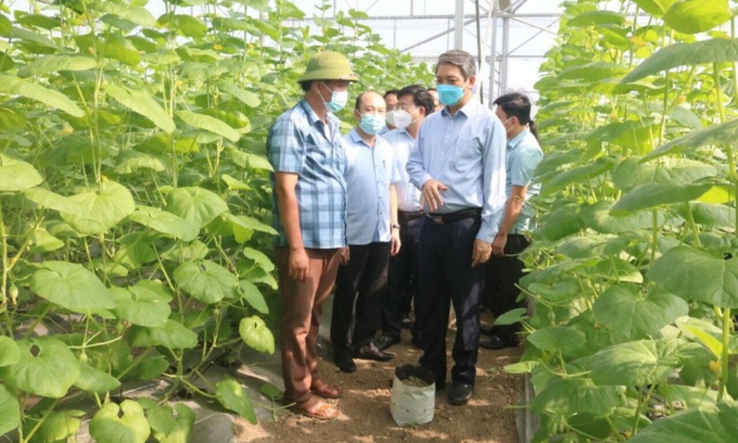- Lãnh đạo tỉnh Thanh Hóa đến thăm mô hình nông trại dưa công nghệ cao tại huyện Thiệu Hóa