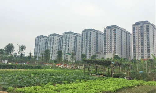 Chuyển 14 nhóm hàng hóa, dịch vụ Nhà nước định giá sang thực hiện theo cơ chế giá thị trường