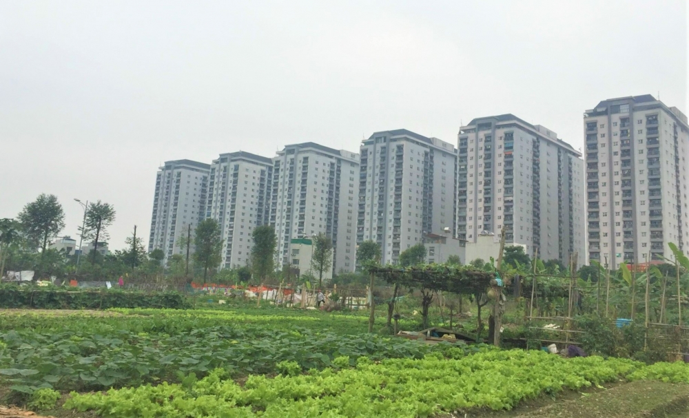  14 nhóm hàng hóa, dịch vụ được loại bỏ khỏi Danh mục hàng hóa dịch vụ do Nhà nước định giá và thực hiện theo cơ chế giá thị trường; đồng thời, bổ sung thêm 2 hàng hóa, dịch vụ vào danh mục.