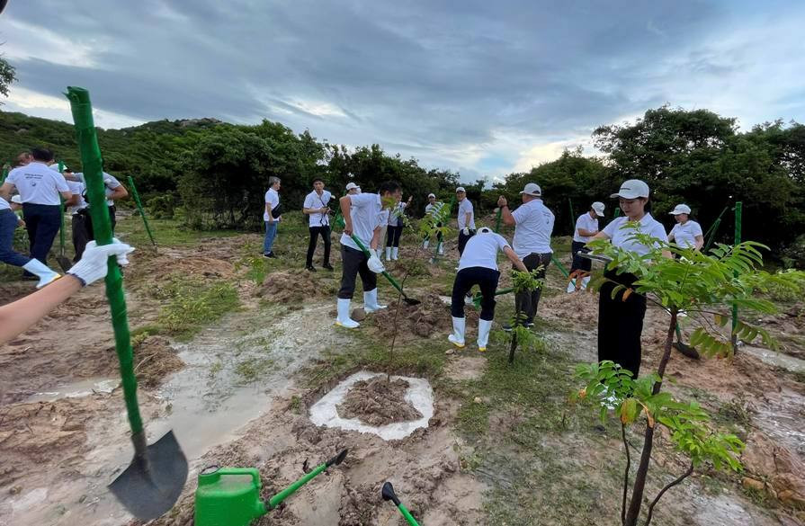 Ninh Thuận sẽ huy động sự tham gia của toàn thể người dân tham gia trồng cây đạt mục tiêu trồng 8.966.000 cây xanh (giai đoạn 2021-2025)