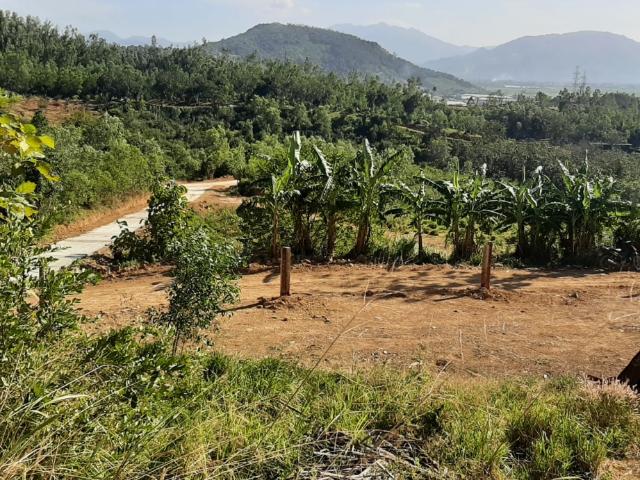 Cần ni&ecirc;m yết c&ocirc;ng khai việc chuyển mục đ&iacute;ch sử dụng rừng tại trụ sở UBND x&atilde; nơi c&oacute; rừng đề nghị chuyển mục đ&iacute;ch sử dụng. (Ảnh minh họa)