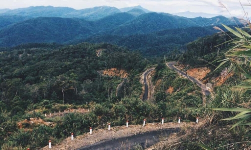 Khánh Hòa được thí điểm về thủ tục chuyển mục đích sử dụng rừng sản xuất dưới 1.000 ha sang mục đích khác