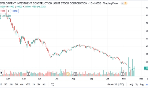 Đến lượt em dâu Chủ tịch bị bán giải chấp 15.000 cổ phiếu DIG