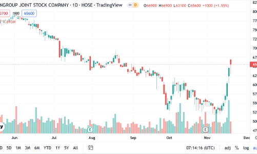 Ông Phạm Nhật Vượng công bố việc góp vốn và trở thành cổ đông lớn của VMI SJC