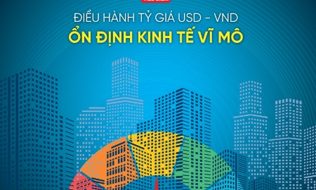 VnEconomy