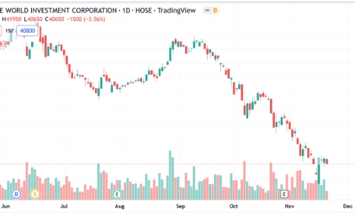 Giá giảm sâu, Ban lãnh đạo công ty đã mua thành công 2,1 triệu cổ phiếu MWG