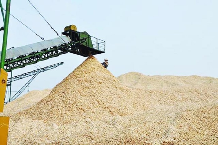 Doanh nghiệp xuất khẩu dăm gỗ vướng mắc thủ tục hoàn thuế.