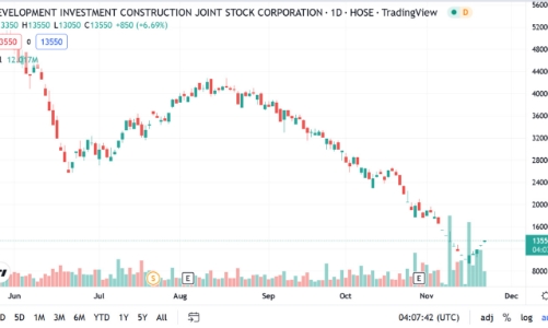 Gia đình Chủ tịch báo cáo kết quả giải chấp cổ phiếu DIG