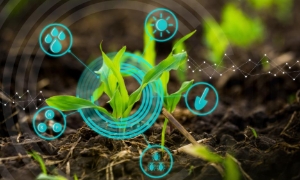 Ag-IoT giúp tiết kiệm nước trong nông nghiệp, (Ảnh: Internet) 