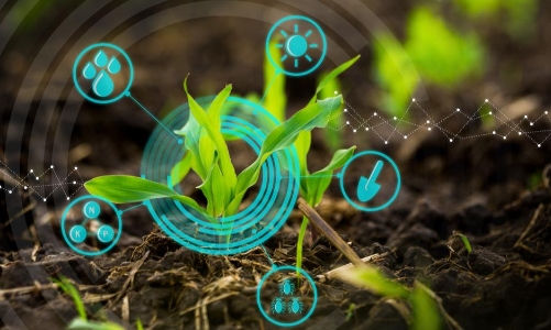 Nông nghiệp công nghệ cao có thể tiết kiệm đến 70% lượng nước sử dụng trong nông nghiệp