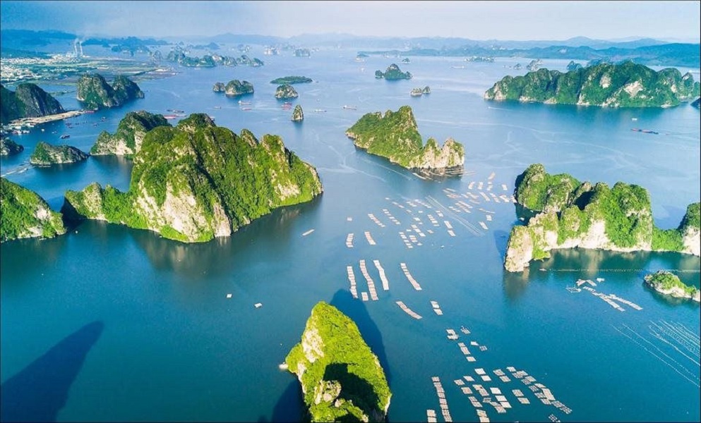Kinh tế từ biển của các tỉnh, thành phố ven biển chiếm khoảng 50% GDP của cả nước.