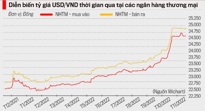 VnEconomy