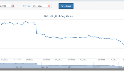 Chứng khoán TVI và Mirae Asset thông báo bán giải chấp hơn 21,45 triệu cổ phiếu của Chủ tịch và tổ chức liên quan đến DPR
