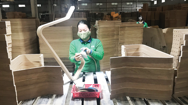 Giải bài toán nguyên liệu của ngành gỗ