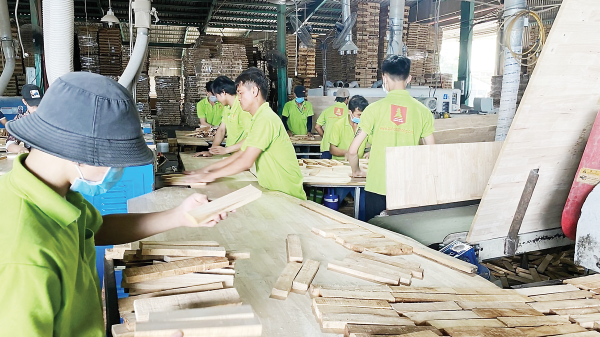 Gỗ ghép thanh tồn kho lớn 