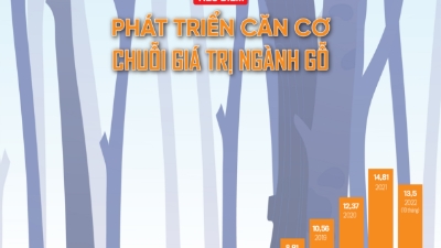 Tạp chí Kinh tế Việt Nam số 48-2022