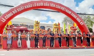 Việt Nam xuất khẩu lô bưởi da xanh đầu tiên sang thị trường Hoa Kỳ